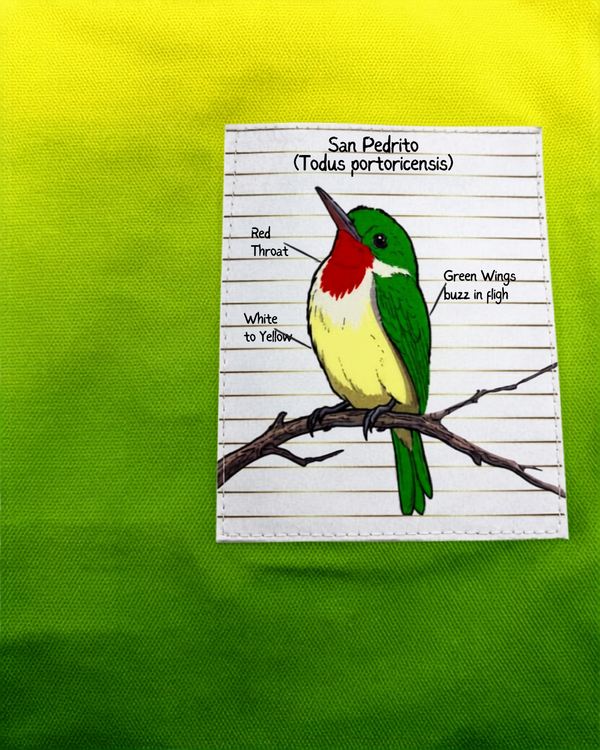 A square fabric patch featuring a hand-drawn illustration of a San Pedrito bird perched on a branch, with handwritten labels pointing to its red throat, white to yellow belly, and green wings. The patch is displayed on a bright green textured fabric background.